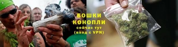 гидропоника Горнозаводск
