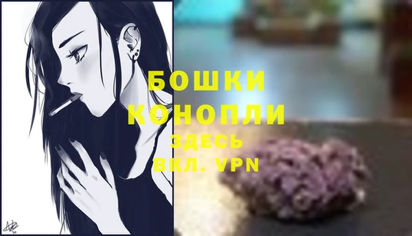 мдпв Горно-Алтайск