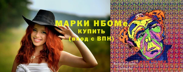 гидропоника Горнозаводск