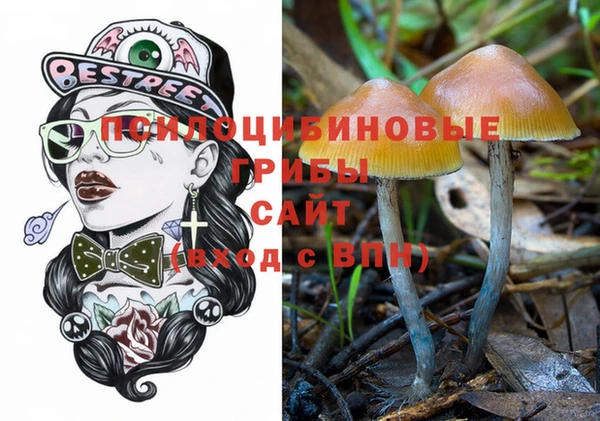 мдпв Горно-Алтайск