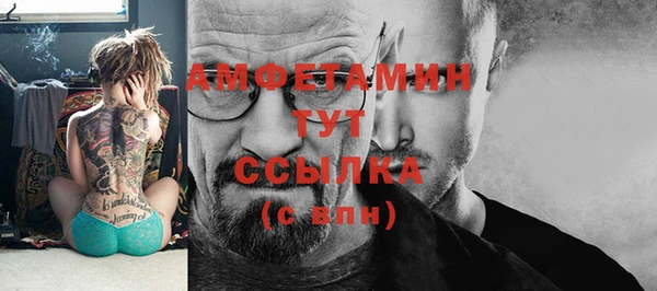 МДМА Горняк