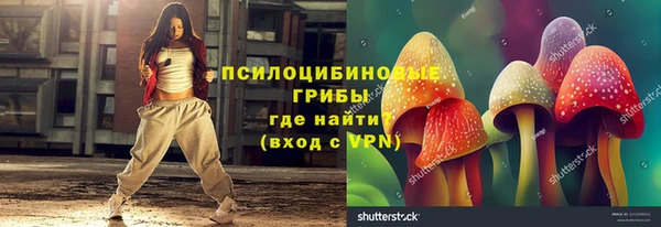 гидропоника Горнозаводск