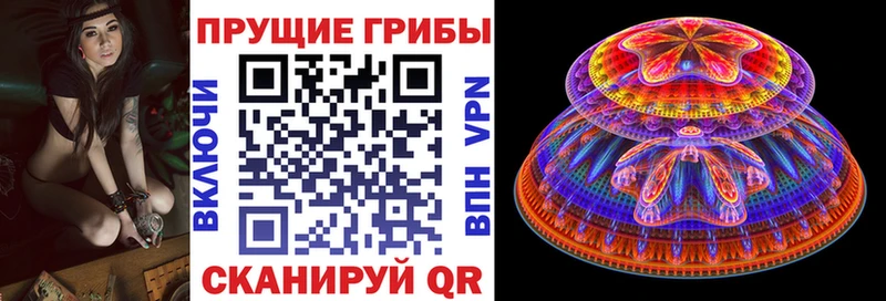 Купить где  Светогорск  Псилоцибиновые грибы Magic Shrooms 